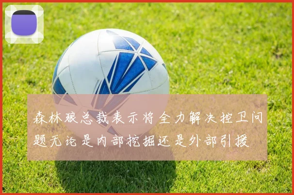 森林狼总裁表示将全力解决控卫问题无论是内部挖掘还是外部引援