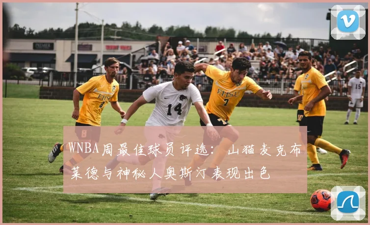 WNBA周最佳球员评选：山猫麦克布莱德与神秘人奥斯汀表现出色